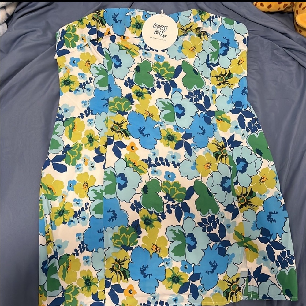 NWT princess Polly dress